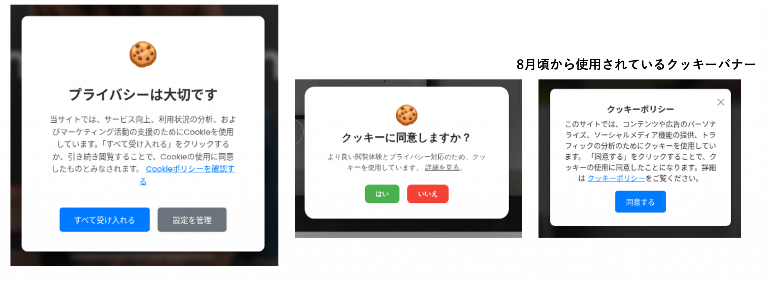 図-3 クッキーバナーの例