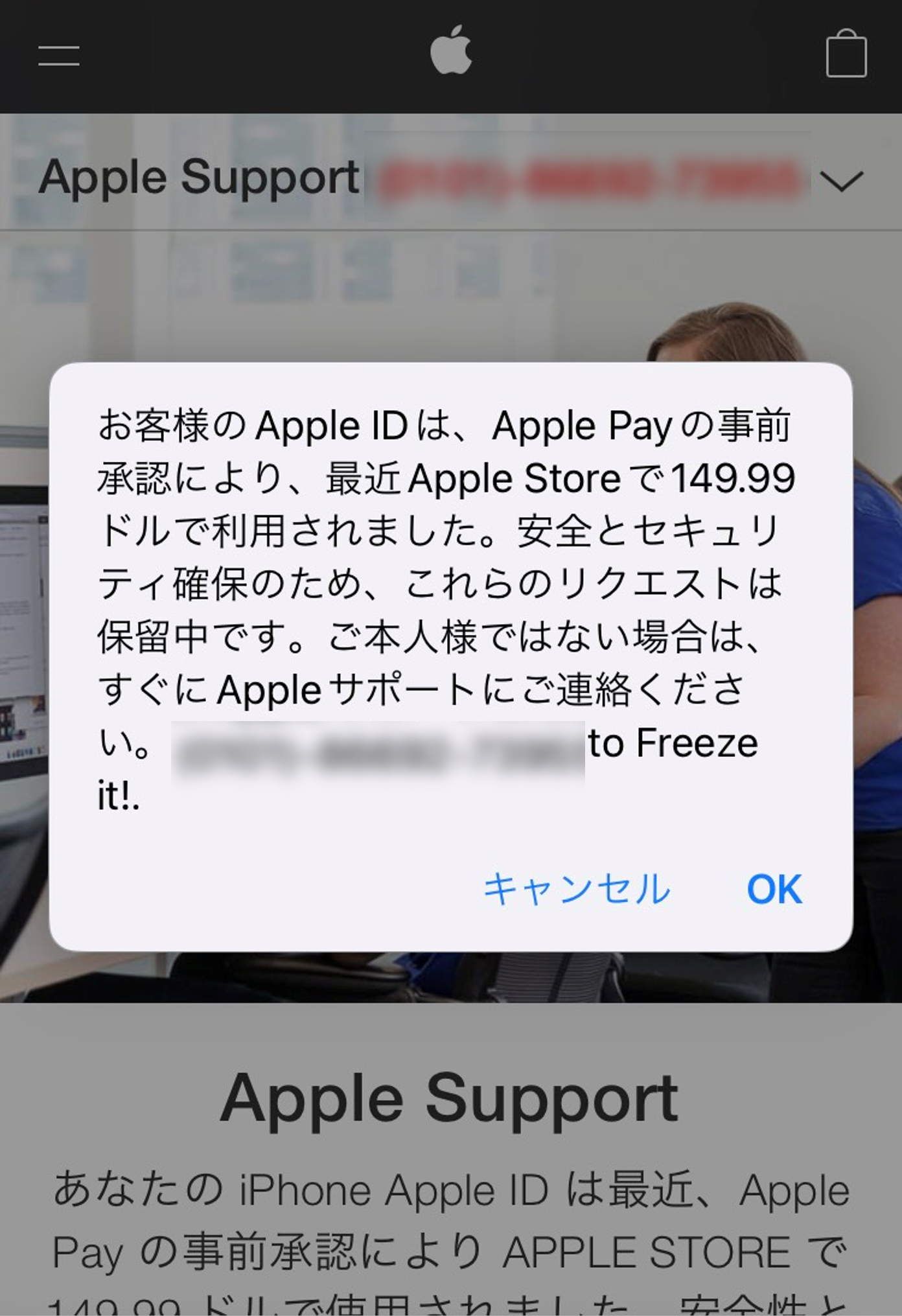 図-7 iOS端末からアクセスした場合のサポート詐欺サイトの画面例